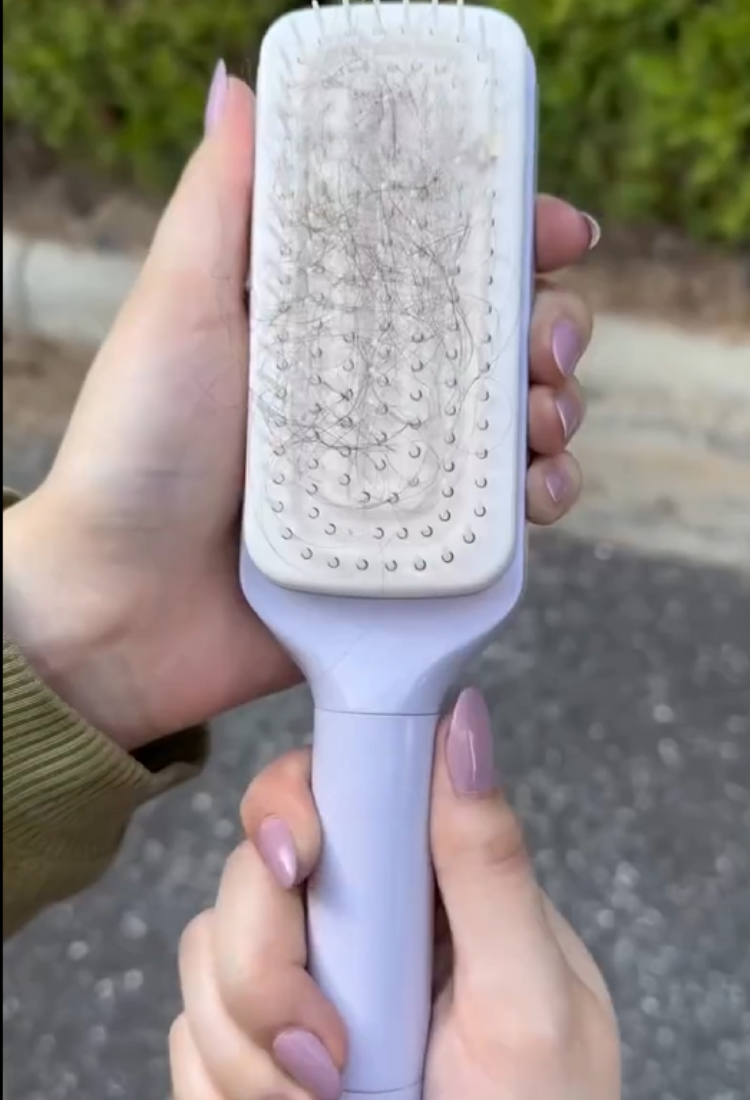 SmartBrush™ - Self-Cleaning Hair Brush ( BUY 1 GET 2! Only Today)