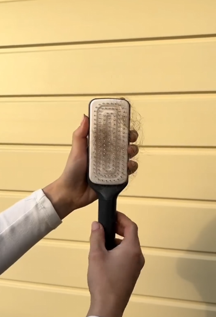 SmartBrush™ - Self-Cleaning Hair Brush ( BUY 1 GET 2! Only Today)